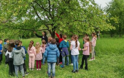 Unser zweiter Besuch auf der Streuobstwiese