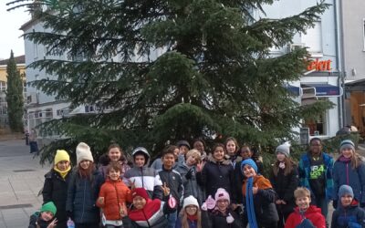 Sozialer Adventskalender der Klasse 4d