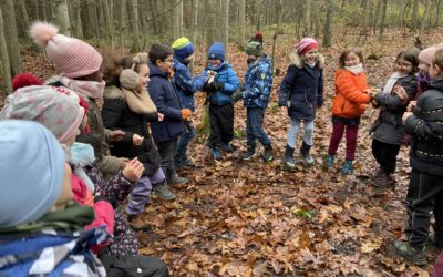 Waldtage in der Stirumschule: „Verstecken will gelernt sein“