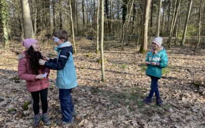 Kinder-Vogelkonzert im Wald