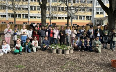 Wir gärtnern gemeinsam – Erdbeeren im Schulgarten