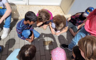 Stolperstein-AG an der Stirumschule