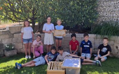 Bienen-AG der Stirumschule: Ein spannendes Jahr rund um das Bienenvolk